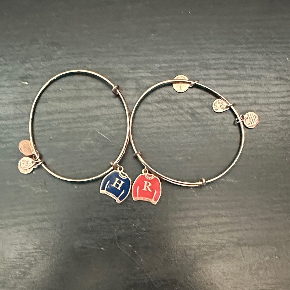 Harry Potter Alex and Ani Bracelet
